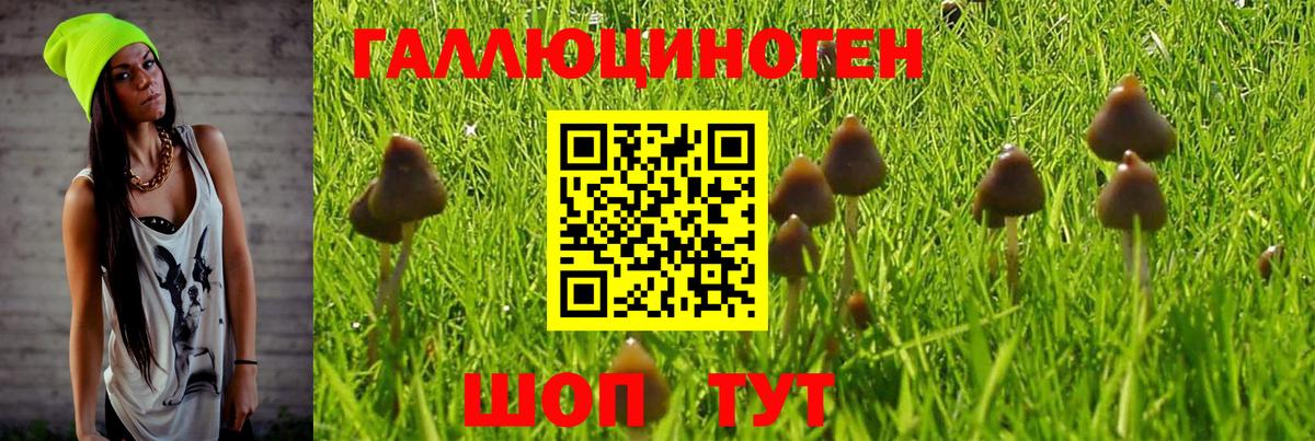 Тихорецк  Галлюциногенные грибы мухоморы  Вход с VPN  как найти наркотики  Галлюциногенные грибы MAGIC MUSHROOMS 